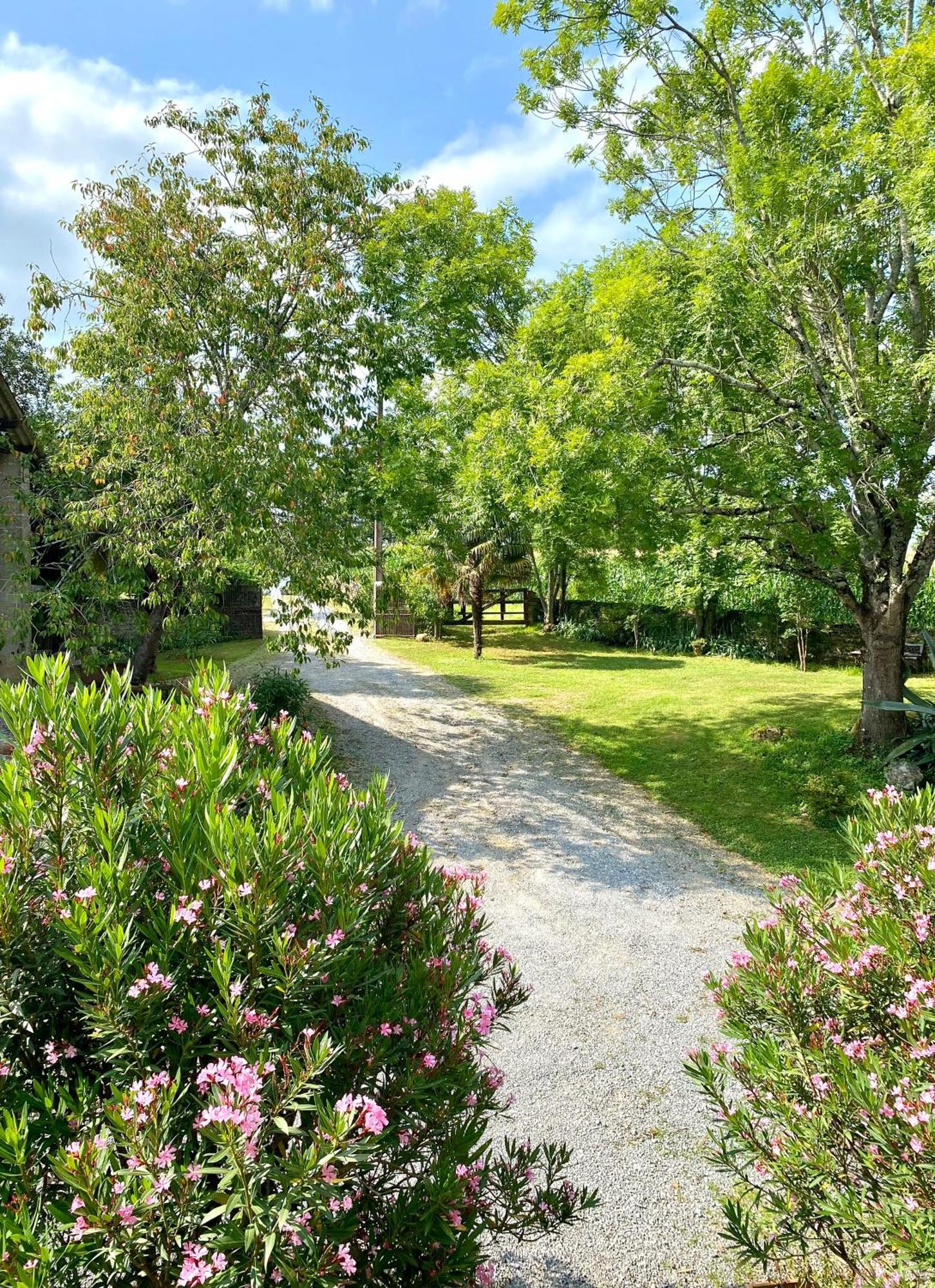 Maison D'Hotes-Maison Castaings Lucq-de-Béarn Екстериор снимка