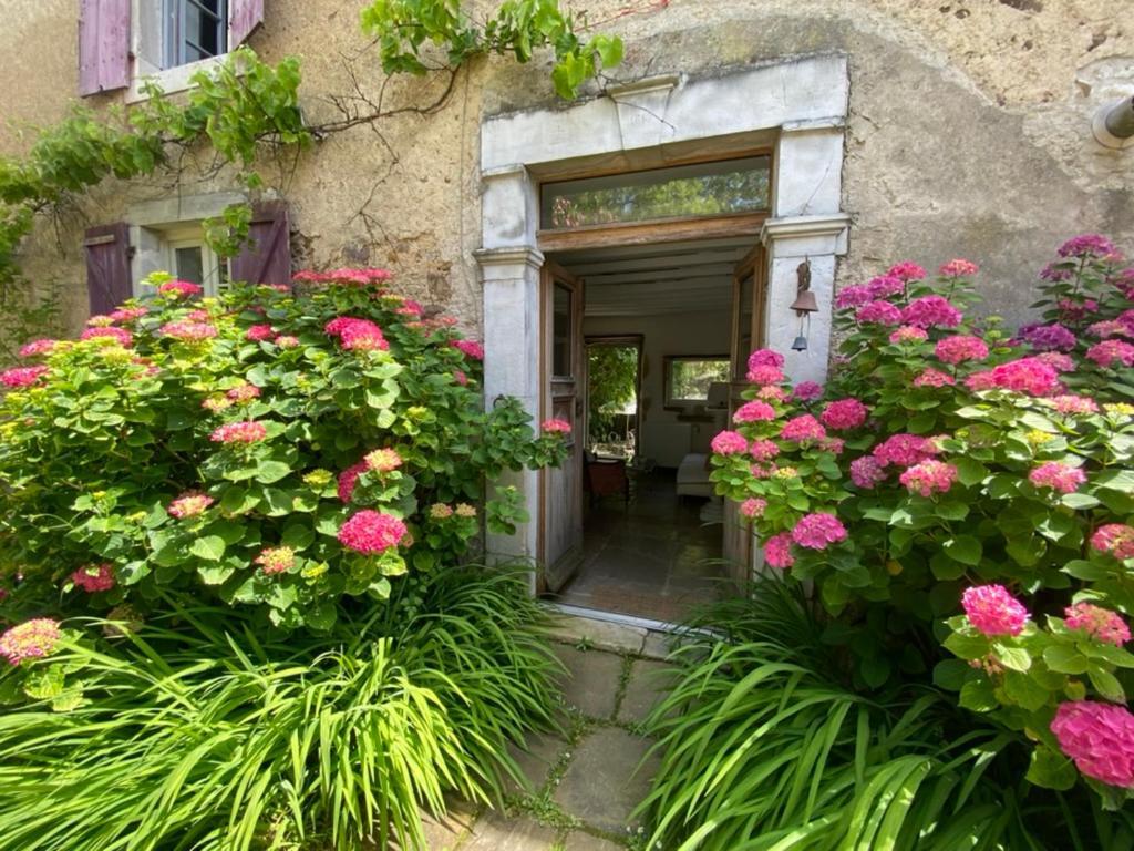 Maison D'Hotes-Maison Castaings Lucq-de-Béarn Екстериор снимка